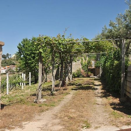 Quinta Do Vale Sanguinho Villa เซยา ภายนอก รูปภาพ