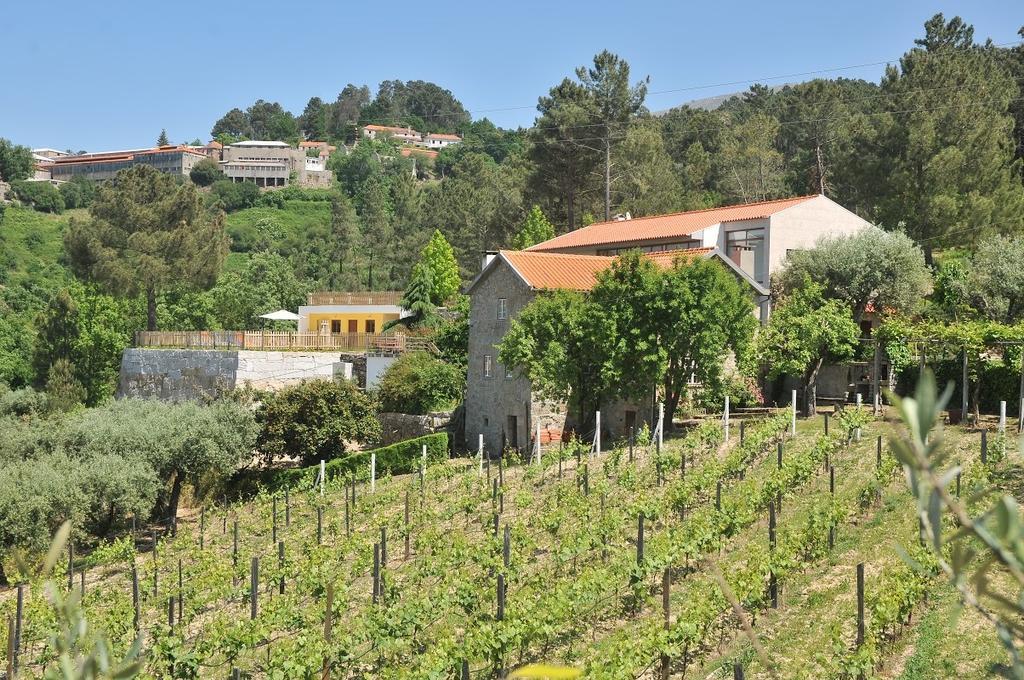Quinta Do Vale Sanguinho Villa เซยา ภายนอก รูปภาพ