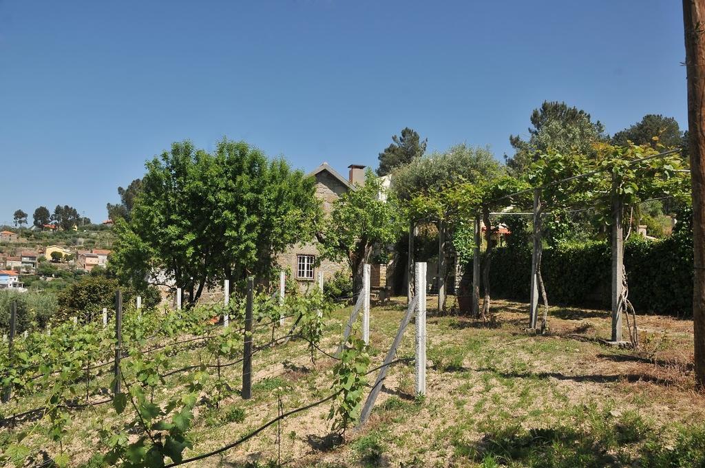 Quinta Do Vale Sanguinho Villa เซยา ภายนอก รูปภาพ